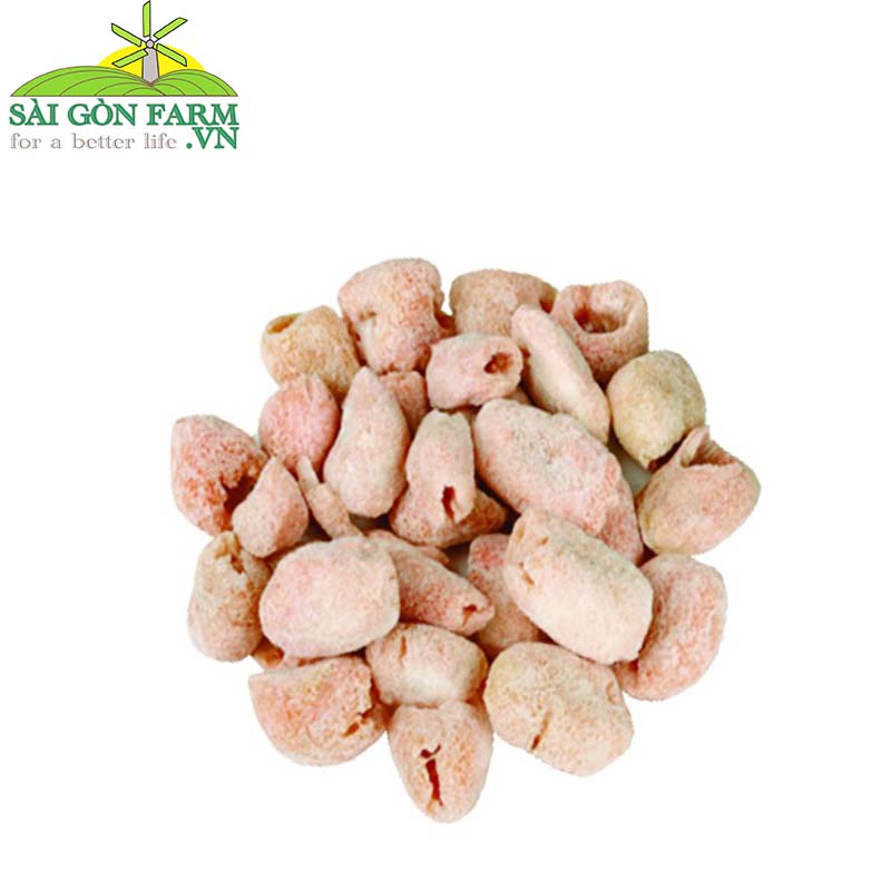 Chôm chôm  sấy giòn - 100g
